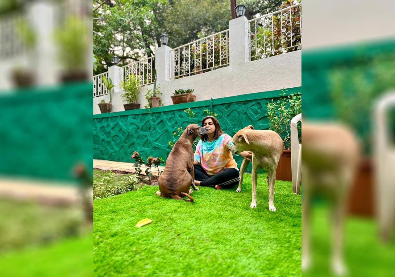 Angel House -Your Private Pet Friendly Haven Lonavala Ngoại thất bức ảnh